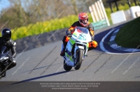 anglesey;brands-hatch;cadwell-park;croft;donington-park;enduro-digital-images;event-digital-images;eventdigitalimages;mallory;no-limits;oulton-park;peter-wileman-photography;racing-digital-images;silverstone;snetterton;trackday-digital-images;trackday-photos;vmcc-banbury-run;welsh-2-day-enduro