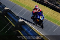 anglesey;brands-hatch;cadwell-park;croft;donington-park;enduro-digital-images;event-digital-images;eventdigitalimages;mallory;no-limits;oulton-park;peter-wileman-photography;racing-digital-images;silverstone;snetterton;trackday-digital-images;trackday-photos;vmcc-banbury-run;welsh-2-day-enduro