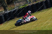 anglesey;brands-hatch;cadwell-park;croft;donington-park;enduro-digital-images;event-digital-images;eventdigitalimages;mallory;no-limits;oulton-park;peter-wileman-photography;racing-digital-images;silverstone;snetterton;trackday-digital-images;trackday-photos;vmcc-banbury-run;welsh-2-day-enduro