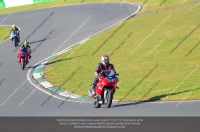 anglesey;brands-hatch;cadwell-park;croft;donington-park;enduro-digital-images;event-digital-images;eventdigitalimages;mallory;no-limits;oulton-park;peter-wileman-photography;racing-digital-images;silverstone;snetterton;trackday-digital-images;trackday-photos;vmcc-banbury-run;welsh-2-day-enduro