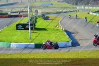 anglesey;brands-hatch;cadwell-park;croft;donington-park;enduro-digital-images;event-digital-images;eventdigitalimages;mallory;no-limits;oulton-park;peter-wileman-photography;racing-digital-images;silverstone;snetterton;trackday-digital-images;trackday-photos;vmcc-banbury-run;welsh-2-day-enduro