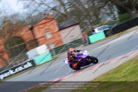 enduro-digital-images;event-digital-images;eventdigitalimages;no-limits-trackdays;oulton-no-limits-trackday;oulton-park-cheshire;oulton-trackday-photographs;peter-wileman-photography;racing-digital-images;trackday-digital-images;trackday-photos