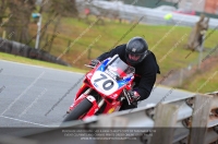 enduro-digital-images;event-digital-images;eventdigitalimages;no-limits-trackdays;oulton-no-limits-trackday;oulton-park-cheshire;oulton-trackday-photographs;peter-wileman-photography;racing-digital-images;trackday-digital-images;trackday-photos