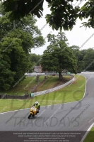 anglesey;brands-hatch;cadwell-park;croft;donington-park;enduro-digital-images;event-digital-images;eventdigitalimages;mallory;no-limits;oulton-park;peter-wileman-photography;racing-digital-images;silverstone;snetterton;trackday-digital-images;trackday-photos;vmcc-banbury-run;welsh-2-day-enduro