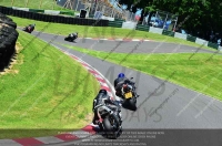 cadwell-no-limits-trackday;cadwell-park;cadwell-park-photographs;cadwell-trackday-photographs;enduro-digital-images;event-digital-images;eventdigitalimages;no-limits-trackdays;peter-wileman-photography;racing-digital-images;trackday-digital-images;trackday-photos