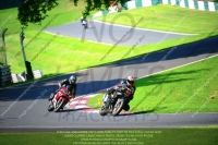 cadwell-no-limits-trackday;cadwell-park;cadwell-park-photographs;cadwell-trackday-photographs;enduro-digital-images;event-digital-images;eventdigitalimages;no-limits-trackdays;peter-wileman-photography;racing-digital-images;trackday-digital-images;trackday-photos