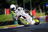 brands-hatch-photographs;brands-no-limits-trackday;cadwell-trackday-photographs;enduro-digital-images;event-digital-images;eventdigitalimages;no-limits-trackdays;peter-wileman-photography;racing-digital-images;trackday-digital-images;trackday-photos