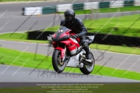 cadwell-no-limits-trackday;cadwell-park;cadwell-park-photographs;cadwell-trackday-photographs;enduro-digital-images;event-digital-images;eventdigitalimages;no-limits-trackdays;peter-wileman-photography;racing-digital-images;trackday-digital-images;trackday-photos