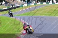 cadwell-no-limits-trackday;cadwell-park;cadwell-park-photographs;cadwell-trackday-photographs;enduro-digital-images;event-digital-images;eventdigitalimages;no-limits-trackdays;peter-wileman-photography;racing-digital-images;trackday-digital-images;trackday-photos