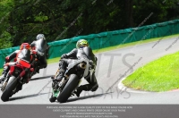 cadwell-no-limits-trackday;cadwell-park;cadwell-park-photographs;cadwell-trackday-photographs;enduro-digital-images;event-digital-images;eventdigitalimages;no-limits-trackdays;peter-wileman-photography;racing-digital-images;trackday-digital-images;trackday-photos