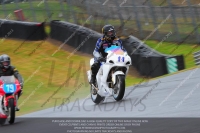 anglesey;brands-hatch;cadwell-park;croft;donington-park;enduro-digital-images;event-digital-images;eventdigitalimages;mallory;no-limits;oulton-park;peter-wileman-photography;racing-digital-images;silverstone;snetterton;trackday-digital-images;trackday-photos;vmcc-banbury-run;welsh-2-day-enduro