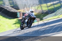 anglesey;brands-hatch;cadwell-park;croft;donington-park;enduro-digital-images;event-digital-images;eventdigitalimages;mallory;no-limits;oulton-park;peter-wileman-photography;racing-digital-images;silverstone;snetterton;trackday-digital-images;trackday-photos;vmcc-banbury-run;welsh-2-day-enduro