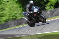 anglesey;brands-hatch;cadwell-park;croft;donington-park;enduro-digital-images;event-digital-images;eventdigitalimages;mallory;no-limits;oulton-park;peter-wileman-photography;racing-digital-images;silverstone;snetterton;trackday-digital-images;trackday-photos;vmcc-banbury-run;welsh-2-day-enduro