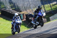 anglesey;brands-hatch;cadwell-park;croft;donington-park;enduro-digital-images;event-digital-images;eventdigitalimages;mallory;no-limits;oulton-park;peter-wileman-photography;racing-digital-images;silverstone;snetterton;trackday-digital-images;trackday-photos;vmcc-banbury-run;welsh-2-day-enduro