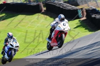 anglesey;brands-hatch;cadwell-park;croft;donington-park;enduro-digital-images;event-digital-images;eventdigitalimages;mallory;no-limits;oulton-park;peter-wileman-photography;racing-digital-images;silverstone;snetterton;trackday-digital-images;trackday-photos;vmcc-banbury-run;welsh-2-day-enduro