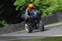 anglesey;brands-hatch;cadwell-park;croft;donington-park;enduro-digital-images;event-digital-images;eventdigitalimages;mallory;no-limits;oulton-park;peter-wileman-photography;racing-digital-images;silverstone;snetterton;trackday-digital-images;trackday-photos;vmcc-banbury-run;welsh-2-day-enduro