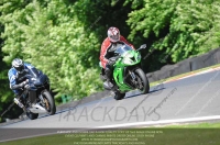 anglesey;brands-hatch;cadwell-park;croft;donington-park;enduro-digital-images;event-digital-images;eventdigitalimages;mallory;no-limits;oulton-park;peter-wileman-photography;racing-digital-images;silverstone;snetterton;trackday-digital-images;trackday-photos;vmcc-banbury-run;welsh-2-day-enduro