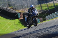 anglesey;brands-hatch;cadwell-park;croft;donington-park;enduro-digital-images;event-digital-images;eventdigitalimages;mallory;no-limits;oulton-park;peter-wileman-photography;racing-digital-images;silverstone;snetterton;trackday-digital-images;trackday-photos;vmcc-banbury-run;welsh-2-day-enduro