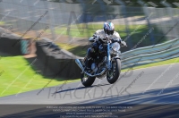 anglesey;brands-hatch;cadwell-park;croft;donington-park;enduro-digital-images;event-digital-images;eventdigitalimages;mallory;no-limits;oulton-park;peter-wileman-photography;racing-digital-images;silverstone;snetterton;trackday-digital-images;trackday-photos;vmcc-banbury-run;welsh-2-day-enduro