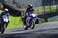 anglesey;brands-hatch;cadwell-park;croft;donington-park;enduro-digital-images;event-digital-images;eventdigitalimages;mallory;no-limits;oulton-park;peter-wileman-photography;racing-digital-images;silverstone;snetterton;trackday-digital-images;trackday-photos;vmcc-banbury-run;welsh-2-day-enduro