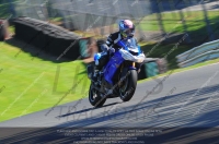 anglesey;brands-hatch;cadwell-park;croft;donington-park;enduro-digital-images;event-digital-images;eventdigitalimages;mallory;no-limits;oulton-park;peter-wileman-photography;racing-digital-images;silverstone;snetterton;trackday-digital-images;trackday-photos;vmcc-banbury-run;welsh-2-day-enduro