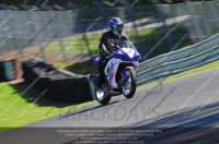 anglesey;brands-hatch;cadwell-park;croft;donington-park;enduro-digital-images;event-digital-images;eventdigitalimages;mallory;no-limits;oulton-park;peter-wileman-photography;racing-digital-images;silverstone;snetterton;trackday-digital-images;trackday-photos;vmcc-banbury-run;welsh-2-day-enduro