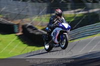 anglesey;brands-hatch;cadwell-park;croft;donington-park;enduro-digital-images;event-digital-images;eventdigitalimages;mallory;no-limits;oulton-park;peter-wileman-photography;racing-digital-images;silverstone;snetterton;trackday-digital-images;trackday-photos;vmcc-banbury-run;welsh-2-day-enduro