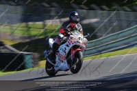 anglesey;brands-hatch;cadwell-park;croft;donington-park;enduro-digital-images;event-digital-images;eventdigitalimages;mallory;no-limits;oulton-park;peter-wileman-photography;racing-digital-images;silverstone;snetterton;trackday-digital-images;trackday-photos;vmcc-banbury-run;welsh-2-day-enduro