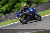 anglesey;brands-hatch;cadwell-park;croft;donington-park;enduro-digital-images;event-digital-images;eventdigitalimages;mallory;no-limits;oulton-park;peter-wileman-photography;racing-digital-images;silverstone;snetterton;trackday-digital-images;trackday-photos;vmcc-banbury-run;welsh-2-day-enduro