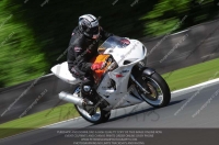 anglesey;brands-hatch;cadwell-park;croft;donington-park;enduro-digital-images;event-digital-images;eventdigitalimages;mallory;no-limits;oulton-park;peter-wileman-photography;racing-digital-images;silverstone;snetterton;trackday-digital-images;trackday-photos;vmcc-banbury-run;welsh-2-day-enduro