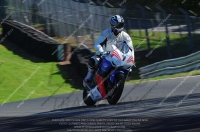 anglesey;brands-hatch;cadwell-park;croft;donington-park;enduro-digital-images;event-digital-images;eventdigitalimages;mallory;no-limits;oulton-park;peter-wileman-photography;racing-digital-images;silverstone;snetterton;trackday-digital-images;trackday-photos;vmcc-banbury-run;welsh-2-day-enduro