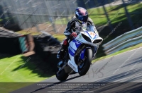 anglesey;brands-hatch;cadwell-park;croft;donington-park;enduro-digital-images;event-digital-images;eventdigitalimages;mallory;no-limits;oulton-park;peter-wileman-photography;racing-digital-images;silverstone;snetterton;trackday-digital-images;trackday-photos;vmcc-banbury-run;welsh-2-day-enduro