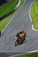 anglesey;brands-hatch;cadwell-park;croft;donington-park;enduro-digital-images;event-digital-images;eventdigitalimages;mallory;no-limits;oulton-park;peter-wileman-photography;racing-digital-images;silverstone;snetterton;trackday-digital-images;trackday-photos;vmcc-banbury-run;welsh-2-day-enduro