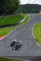 anglesey;brands-hatch;cadwell-park;croft;donington-park;enduro-digital-images;event-digital-images;eventdigitalimages;mallory;no-limits;oulton-park;peter-wileman-photography;racing-digital-images;silverstone;snetterton;trackday-digital-images;trackday-photos;vmcc-banbury-run;welsh-2-day-enduro