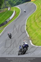 anglesey;brands-hatch;cadwell-park;croft;donington-park;enduro-digital-images;event-digital-images;eventdigitalimages;mallory;no-limits;oulton-park;peter-wileman-photography;racing-digital-images;silverstone;snetterton;trackday-digital-images;trackday-photos;vmcc-banbury-run;welsh-2-day-enduro