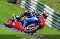 cadwell-no-limits-trackday;cadwell-park;cadwell-park-photographs;cadwell-trackday-photographs;enduro-digital-images;event-digital-images;eventdigitalimages;no-limits-trackdays;peter-wileman-photography;racing-digital-images;trackday-digital-images;trackday-photos