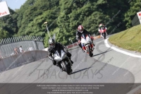 anglesey;brands-hatch;cadwell-park;croft;donington-park;enduro-digital-images;event-digital-images;eventdigitalimages;mallory;no-limits;oulton-park;peter-wileman-photography;racing-digital-images;silverstone;snetterton;trackday-digital-images;trackday-photos;vmcc-banbury-run;welsh-2-day-enduro