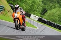 cadwell-no-limits-trackday;cadwell-park;cadwell-park-photographs;cadwell-trackday-photographs;enduro-digital-images;event-digital-images;eventdigitalimages;no-limits-trackdays;peter-wileman-photography;racing-digital-images;trackday-digital-images;trackday-photos