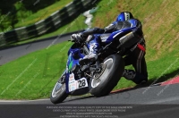 cadwell-no-limits-trackday;cadwell-park;cadwell-park-photographs;cadwell-trackday-photographs;enduro-digital-images;event-digital-images;eventdigitalimages;no-limits-trackdays;peter-wileman-photography;racing-digital-images;trackday-digital-images;trackday-photos