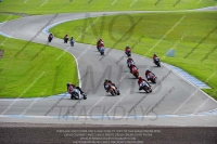 anglesey;brands-hatch;cadwell-park;croft;donington-park;enduro-digital-images;event-digital-images;eventdigitalimages;mallory;no-limits;oulton-park;peter-wileman-photography;racing-digital-images;silverstone;snetterton;trackday-digital-images;trackday-photos;welsh-2-day-enduro