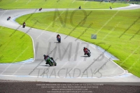 anglesey;brands-hatch;cadwell-park;croft;donington-park;enduro-digital-images;event-digital-images;eventdigitalimages;mallory;no-limits;oulton-park;peter-wileman-photography;racing-digital-images;silverstone;snetterton;trackday-digital-images;trackday-photos;welsh-2-day-enduro