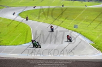 anglesey;brands-hatch;cadwell-park;croft;donington-park;enduro-digital-images;event-digital-images;eventdigitalimages;mallory;no-limits;oulton-park;peter-wileman-photography;racing-digital-images;silverstone;snetterton;trackday-digital-images;trackday-photos;welsh-2-day-enduro