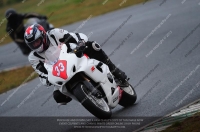 anglesey;brands-hatch;cadwell-park;croft;donington-park;enduro-digital-images;event-digital-images;eventdigitalimages;mallory;no-limits;oulton-park;peter-wileman-photography;racing-digital-images;silverstone;snetterton;trackday-digital-images;trackday-photos;vmcc-banbury-run;welsh-2-day-enduro