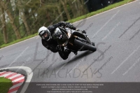 cadwell-no-limits-trackday;cadwell-park;cadwell-park-photographs;cadwell-trackday-photographs;enduro-digital-images;event-digital-images;eventdigitalimages;no-limits-trackdays;peter-wileman-photography;racing-digital-images;trackday-digital-images;trackday-photos