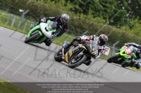 anglesey;brands-hatch;cadwell-park;croft;donington-park;enduro-digital-images;event-digital-images;eventdigitalimages;mallory;no-limits;oulton-park;peter-wileman-photography;racing-digital-images;silverstone;snetterton;trackday-digital-images;trackday-photos;welsh-2-day-enduro