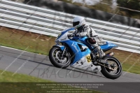 anglesey;brands-hatch;cadwell-park;croft;donington-park;enduro-digital-images;event-digital-images;eventdigitalimages;mallory;no-limits;oulton-park;peter-wileman-photography;racing-digital-images;silverstone;snetterton;trackday-digital-images;trackday-photos;welsh-2-day-enduro