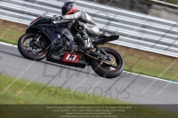 anglesey;brands-hatch;cadwell-park;croft;donington-park;enduro-digital-images;event-digital-images;eventdigitalimages;mallory;no-limits;oulton-park;peter-wileman-photography;racing-digital-images;silverstone;snetterton;trackday-digital-images;trackday-photos;welsh-2-day-enduro