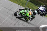 anglesey;brands-hatch;cadwell-park;croft;donington-park;enduro-digital-images;event-digital-images;eventdigitalimages;mallory;no-limits;oulton-park;peter-wileman-photography;racing-digital-images;silverstone;snetterton;trackday-digital-images;trackday-photos;welsh-2-day-enduro