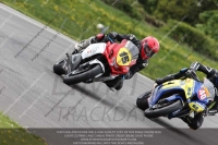 anglesey;brands-hatch;cadwell-park;croft;donington-park;enduro-digital-images;event-digital-images;eventdigitalimages;mallory;no-limits;oulton-park;peter-wileman-photography;racing-digital-images;silverstone;snetterton;trackday-digital-images;trackday-photos;welsh-2-day-enduro