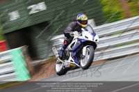 anglesey;brands-hatch;cadwell-park;croft;donington-park;enduro-digital-images;event-digital-images;eventdigitalimages;mallory;no-limits;oulton-park;peter-wileman-photography;racing-digital-images;silverstone;snetterton;trackday-digital-images;trackday-photos;vmcc-banbury-run;welsh-2-day-enduro